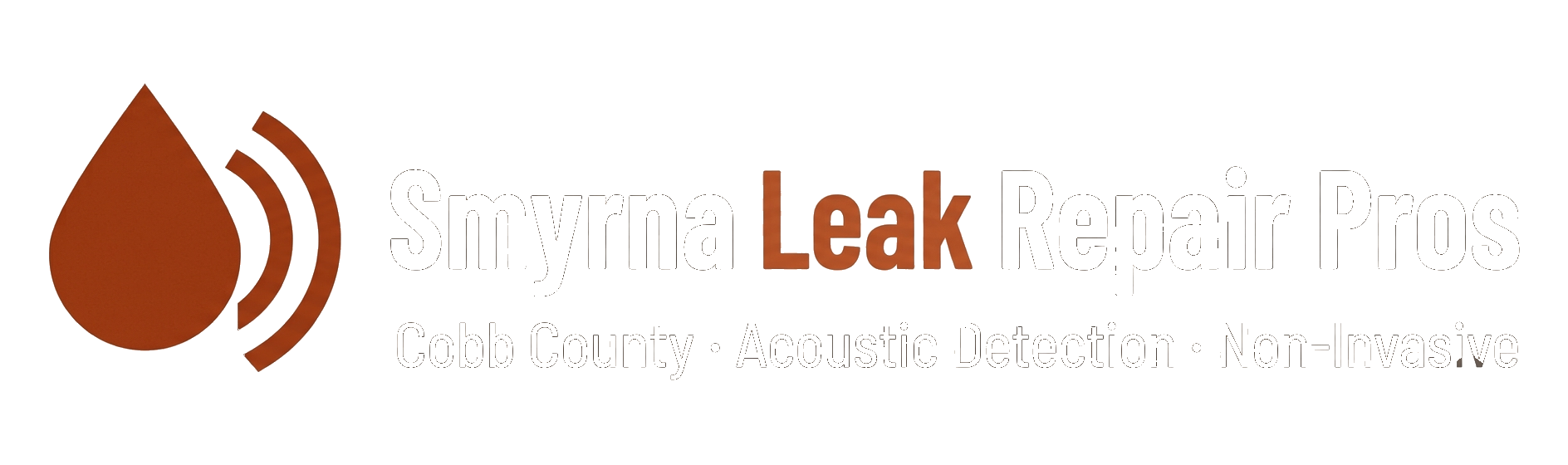 Smyrna Leak Repair Pros