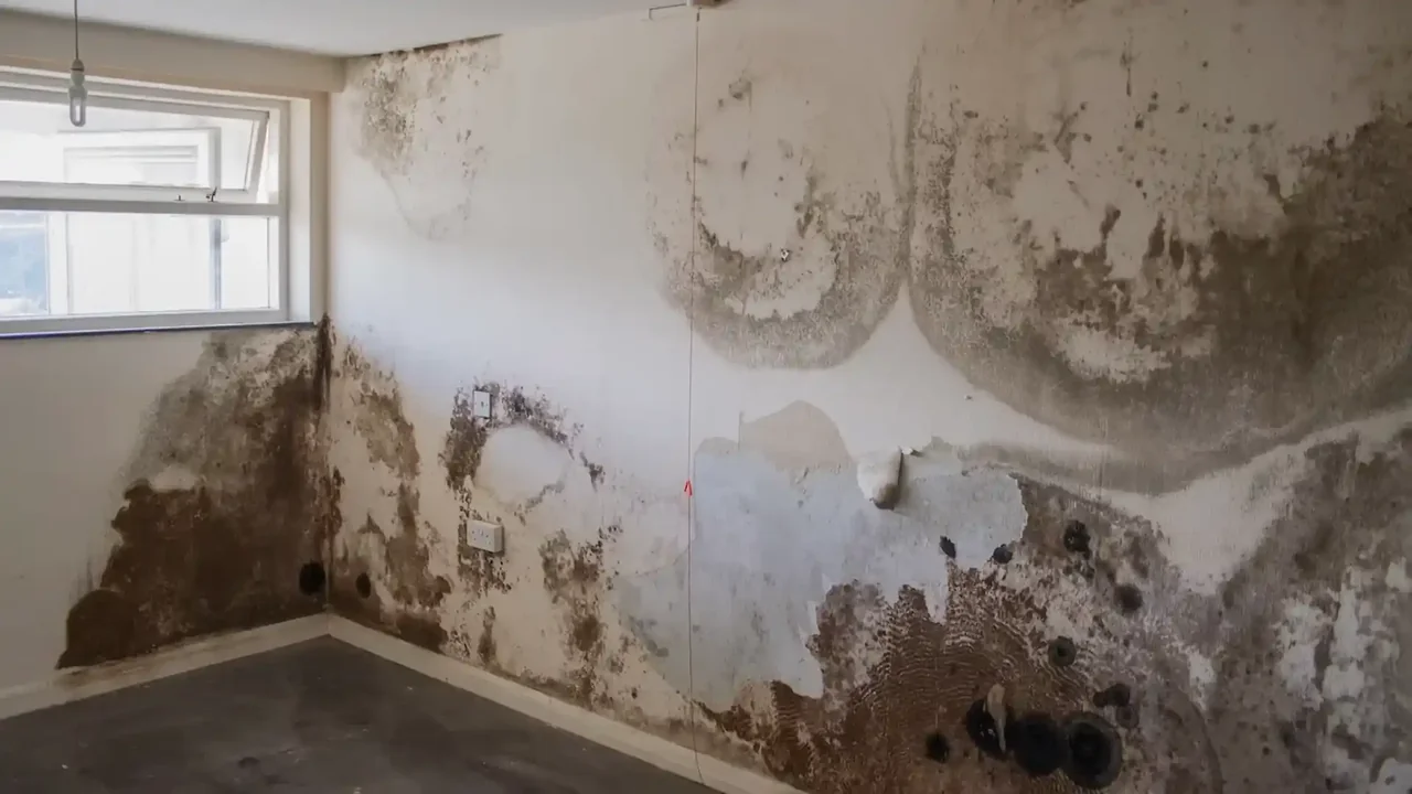 Wall Leak Detection & Repair service in Smyrna GA, Cobb County